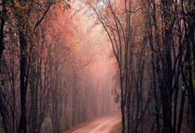 开云-全运会｜羽毛球：“雅思”夺金谢幕 翁泓阳、王祉怡单打折桂