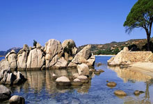 开云-全运会｜击剑收官：上海男重团体夺金 福建女花团体卫冕